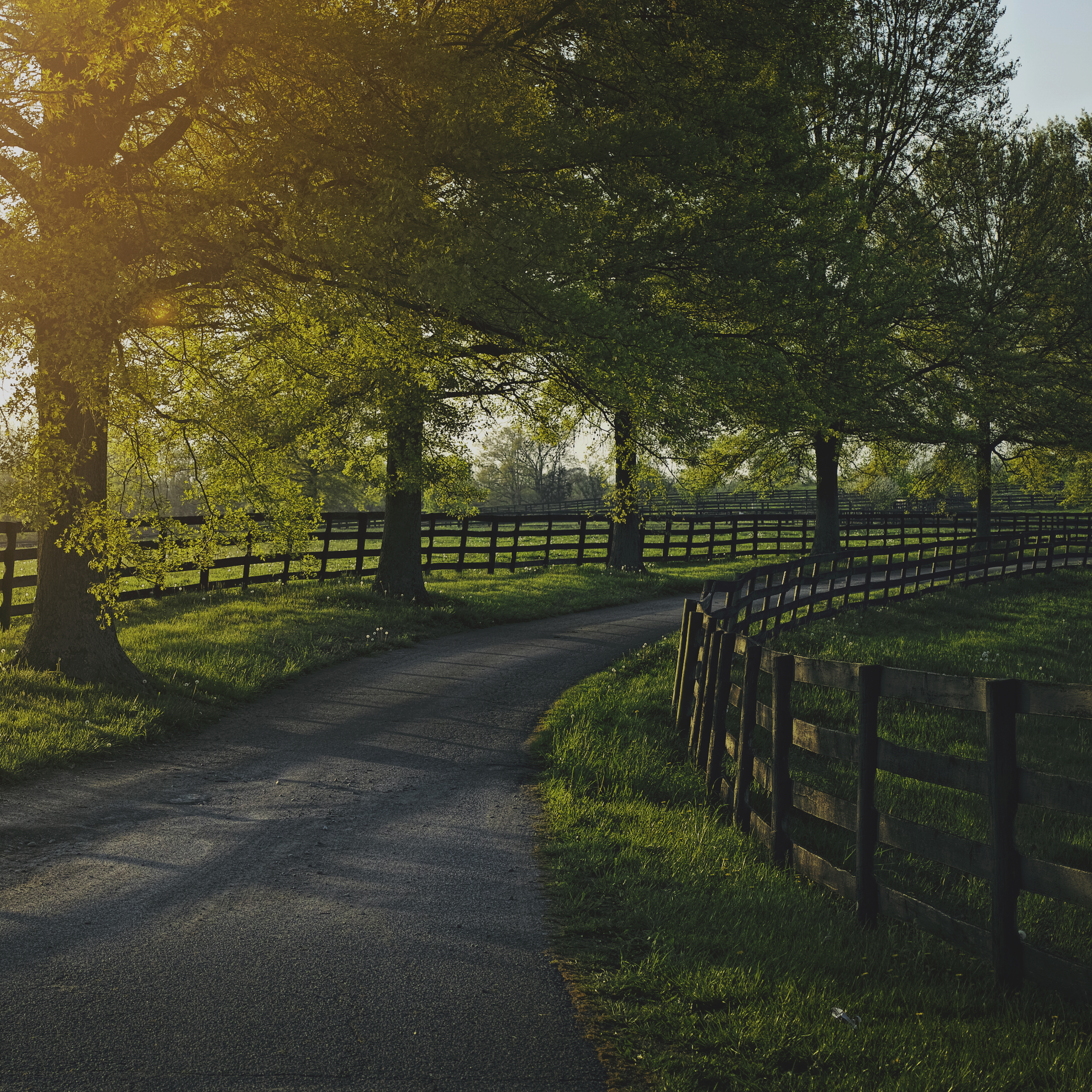 Bourbon Country